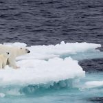 Climate Change Impacts Disastrous For Whole World