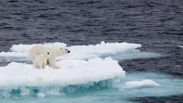 Climate Change Impacts Disastrous For Whole World