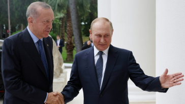 Türkiye to pay for some Russian gas in roubles: Erdogan