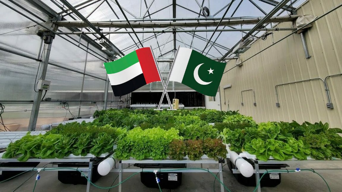 UAE to help Pakistan set up plasma farming facilities