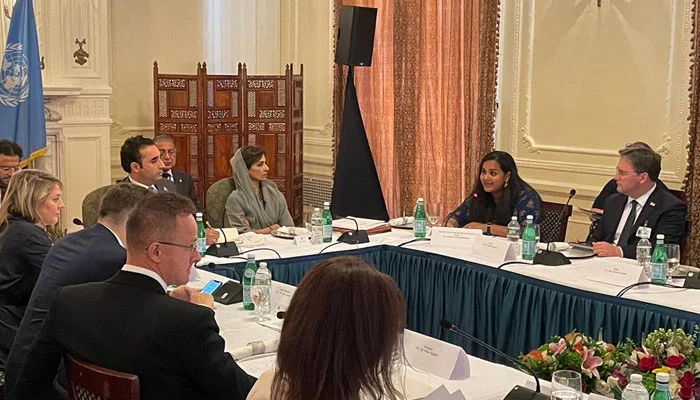 Bilawal chairs young foreign ministers summit in New York