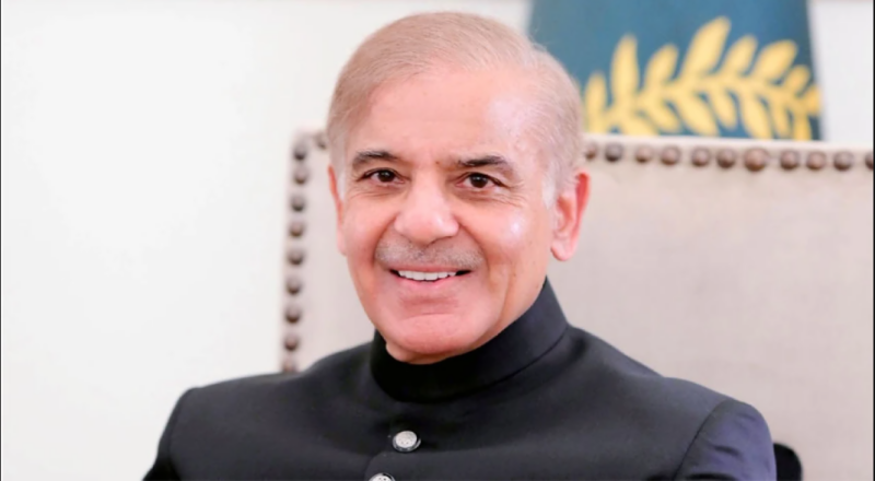 Efforts made at UN, SCO to present Pakistan as credible partner: PM