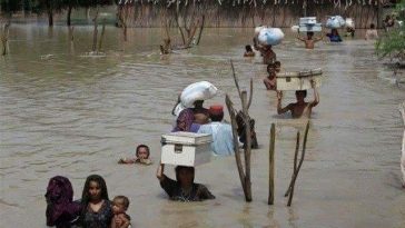 Flooding triggers fresh migrations in Sindh