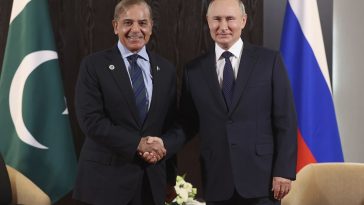 Putin offers Shehbaz gas to warm ties