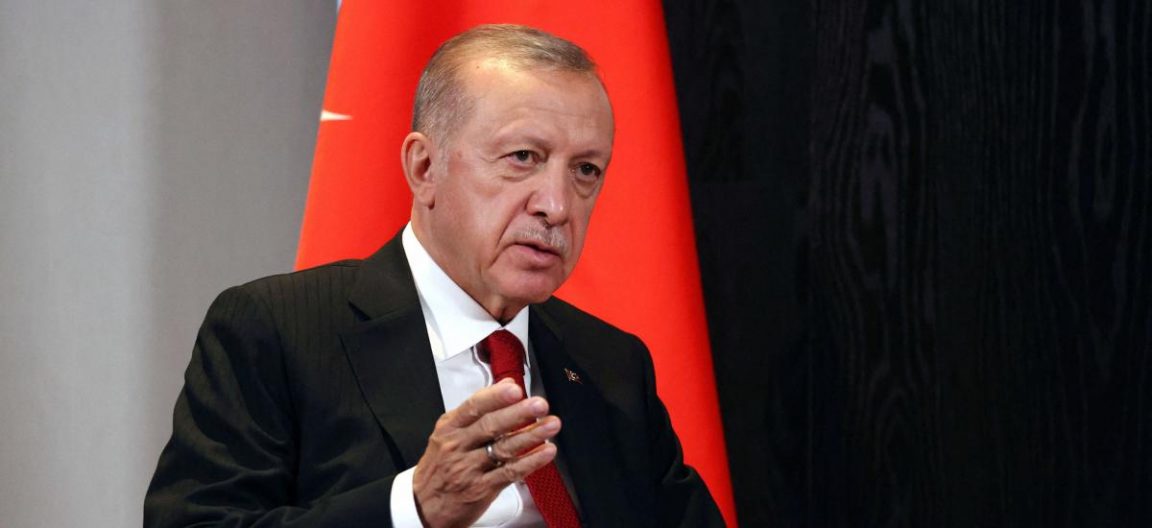 Russia’s Putin willing to end war, says Erdogan