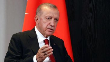 Russia’s Putin willing to end war, says Erdogan