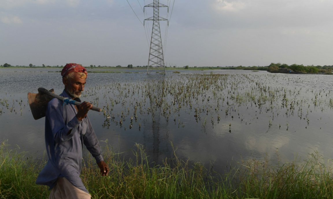 World Bank to provide $22.2m in aid to Pakistan’s flood-hit farmers: ministry