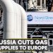 EU approves plan to curb Gas usage as Russia cuts Gas Supplies to Europe