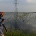 World Bank to provide $22.2m in aid to Pakistan’s flood-hit farmers: ministry